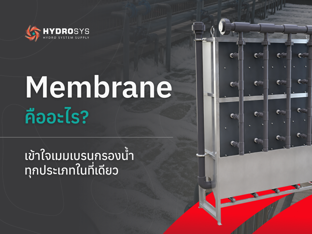 Membrane คือ อะไร? เข้าใจเมมเบรนกรองน้ำทุกประเภทในที่เดียว